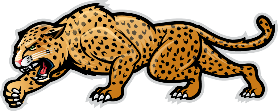 IUPUI Jaguars 2007-2017 Secondary Logo DIY iron on transfer (heat transfer)